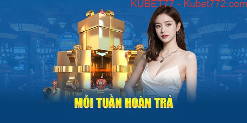 Mỗi tuần hoàn trả