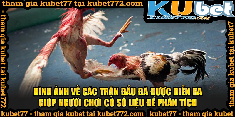 Cơ sở dữ liệu để phân tích