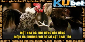 Cơ sỏ vật chất của nhà cái