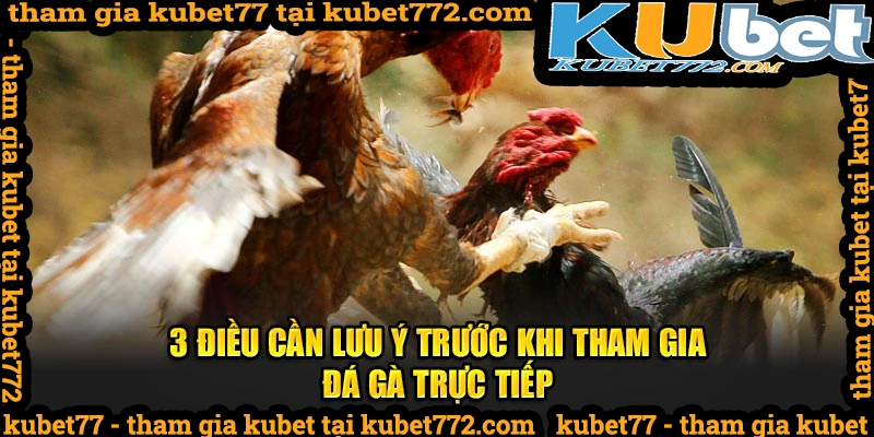 Lưu Ý Trước Khi Tham Gia Đá Gà Trực Tiếp